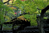 秋の京都-017