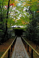 秋の京都-019