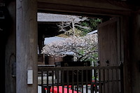 鎌倉-017