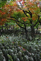 秋の京都-006