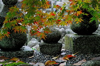 秋の京都-009