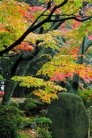 秋の京都-012