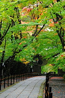 秋の京都-013
