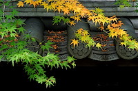 秋の京都-016