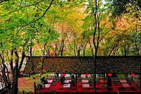秋の京都-021