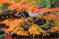 秋の京都-027