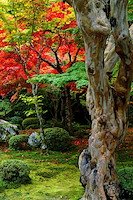 秋の京都-035