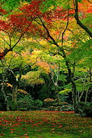 秋の京都-036