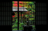 秋の京都-037