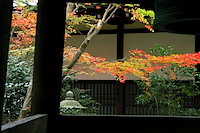 秋の京都-039