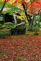 秋の京都-040